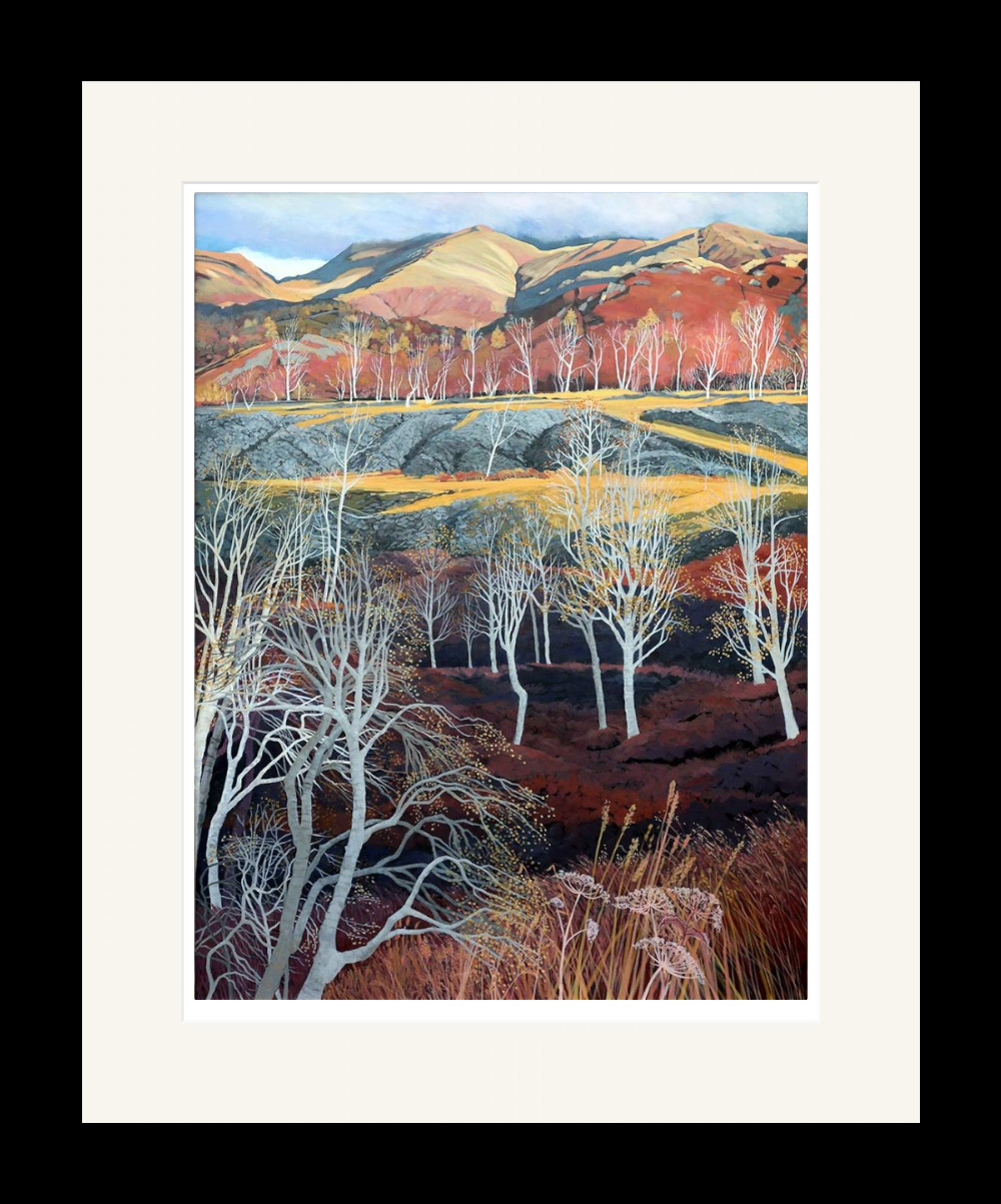 Lake District art by Libby Edmondson. Hodge Close II print. Near to the Quarry in Tilberthwaite between coniston and langdale