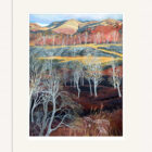 Lake District art by Libby Edmondson. Hodge Close II print. Near to the Quarry in Tilberthwaite between coniston and langdale