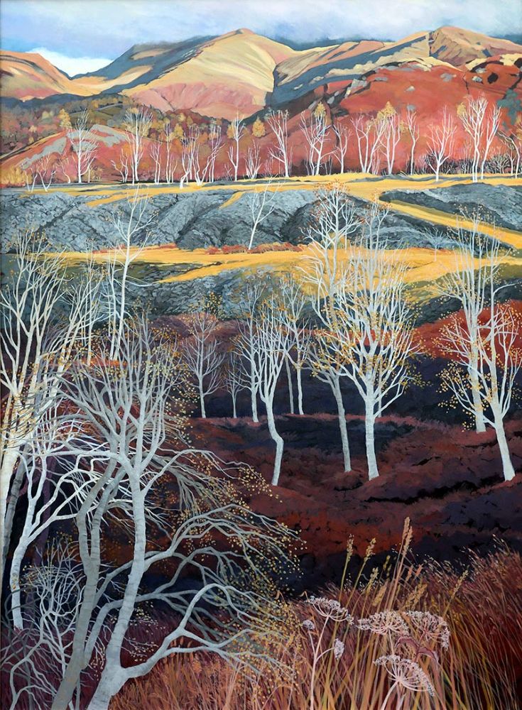 Hodge Close ii by Libby Edmondson Lake District art by Libby Edmondson. Hodge Close II print. Near to the Quarry in Tilberthwaite between coniston and langdale