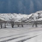 Lake District art by Libby Edmondson. Langdale Snow’ 2019 A limited edition print. Featuring the langdale valley on a winter day with bare trees and the langdale pikes