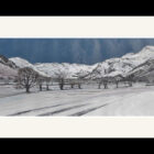 Lake District art by Libby Edmondson. Langdale Snow’ 2019 A limited edition print. Featuring the langdale valley on a winter day with bare trees and the langdale pikes