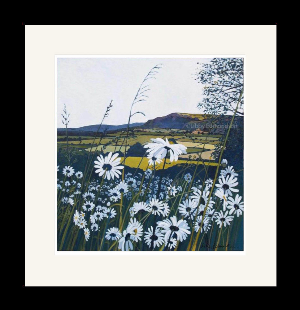 Art print by Lake District artist Libby Edmondson of White Scar White Daisies 2008 a summer scene with lots of wildflowers and lush green landscape beyond