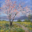 Oil painting by local artist Jeff Sudders of a blossom tree at Borrans Park Waterhead Ambleside