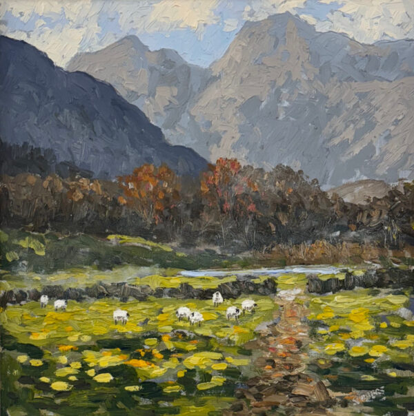 Lake District art original oil painting by Jeff Sudders. In the Langdale Valley. Overlooking grazing sheep with blue skies featuring harrison stickle and pike o stickle