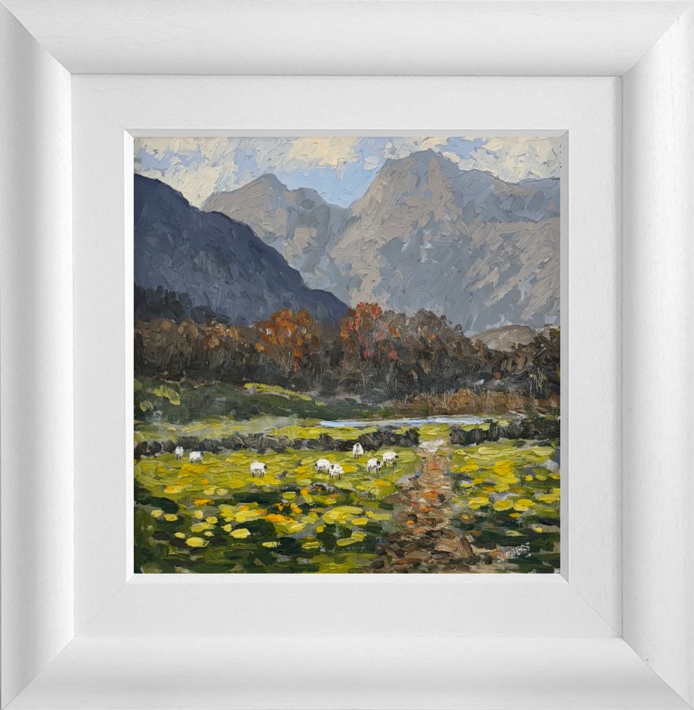 Lake District art original oil painting by Jeff Sudders. In the Langdale Valley. Overlooking grazing sheep with blue skies featuring harrison stickle and pike o stickle