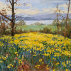 Lake District art original oil painting by local artist Jeff Sudders. Springtime by Windermere. Daffodil field overlooks lake and fells