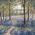 Lake District art original oil painting Red Sail on Windermere by Jeff Sudders of a beautiful carpet of bluebells in woodland with a path leading to a glimpse of a sailing boat on the lake.