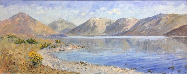 Gorse Bushes at Wastwater