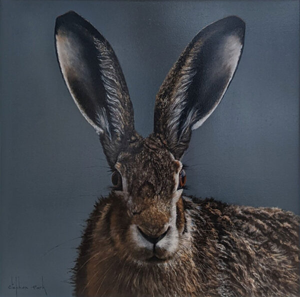 Lake District art original oil painting Hare by Stephen Park in his realist portrait style this hare is against a blue grey background.