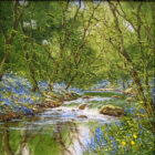 lake district art original oil painting textured oil landscape by terry evans beautiful flowing stream in a thriving woodland. Spring flowers surround the edges of the water.
