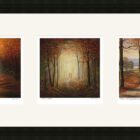 Lake District art framed print Autumn Trio by Jeff Sudders in a black frame.