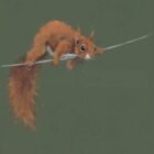 Limited Edition Print by British Artist Nicky Litchfield. Balancing Act featuring a red squirrel balancing across a line of string/wire on a dark green background.