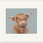 Limited Edition Print by British Artist Nicky Litchfield. Brodie featuring a highland cow against a light blue background.