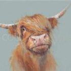 Limited Edition Print by British Artist Nicky Litchfield. Brodie featuring a highland cow against a light blue background.