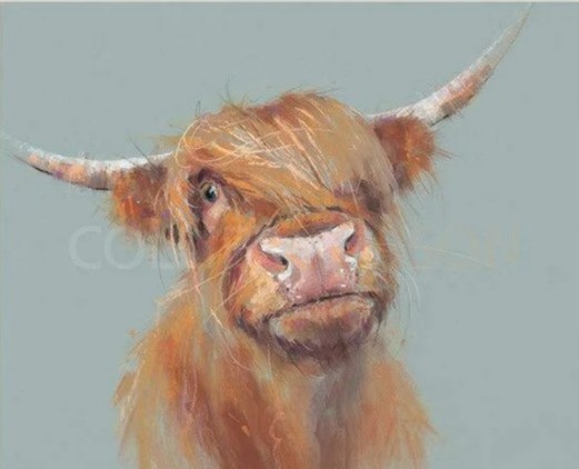 Limited Edition Print by British Artist Nicky Litchfield. Brodie featuring a highland cow against a light blue background.