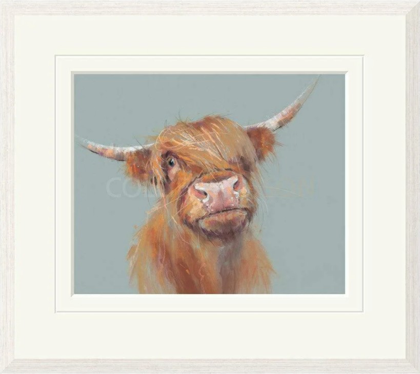 Limited Edition Print by British Artist Nicky Litchfield. Brodie featuring a highland cow against a light blue background.