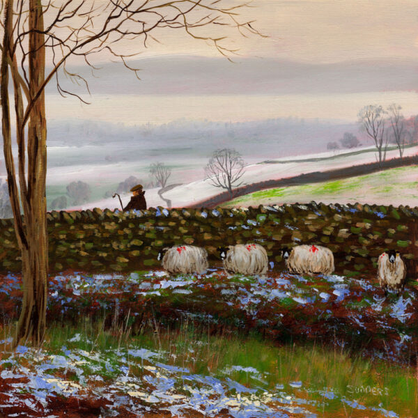 Four Sheep out of Sight