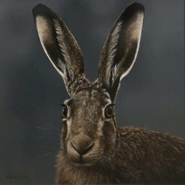 Hare Lake District art an original oil painting by Stephen Park. A traditional life like animal portrait in great detail by wildlife artist