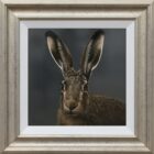 Hare Lake District art an original oil painting by Stephen Park. A traditional life like animal portrait in great detail by wildlife artist