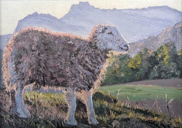 lake district art original oil painting by local artist simon whitfield Herdy elterwater common. iconic herdwick sheep in front of langdale pike fells silhouette