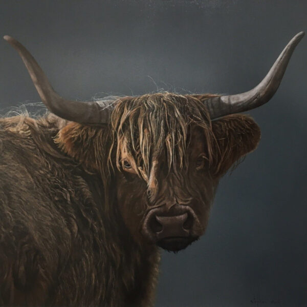 Lake District art original oil painting Highland Cow by Stephen Park with a warm grey background painted in a realist style.