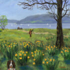 Lake District art print Springer has Sprung by local artist Jeff Sudders. A spaniel amongst daffodils on the shore of Windermere at springtime.
