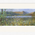 Summertime at Grasmere by Jeff Sudders