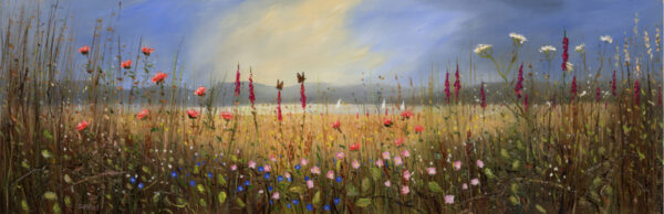 Where Butterflies Live, Windermere