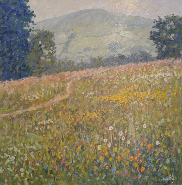 Lake District art original oil painting by Jeff Sudders borrans meadow in ambleside colourful summer wildflowers with path and fells