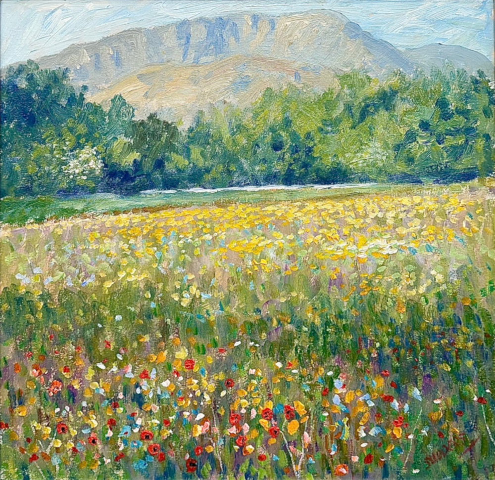 Buttercups and Wetherlam by Jeff Sudders View across a buttercup field to Wetherlam above Coniston in the lake district