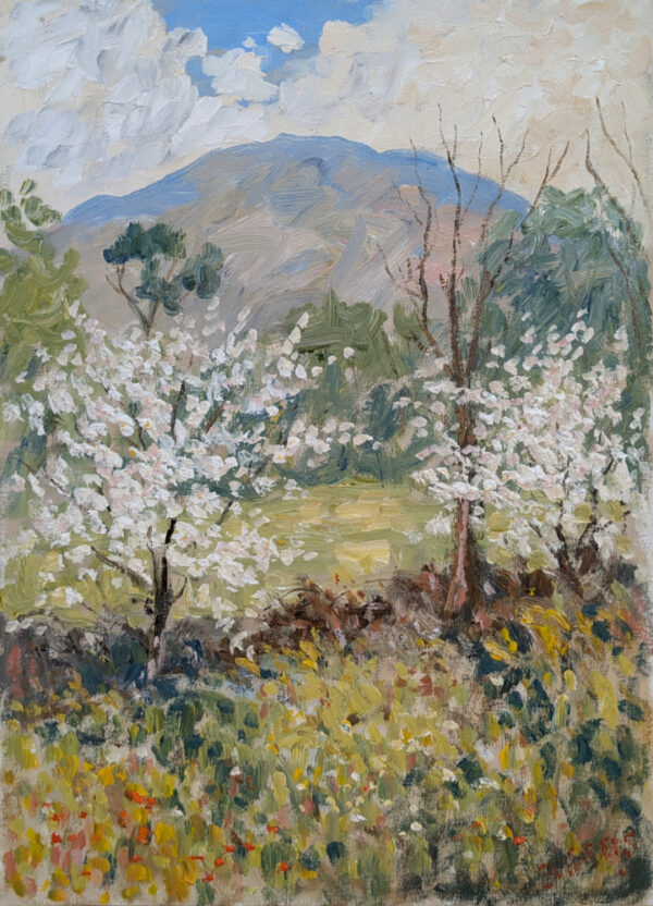 Lake District art original oil painting Hawthorn Blossom Near Ambleside by Jeff Sudders of white blossom trees with golden wildflowers in the fields and mountains in the distance.