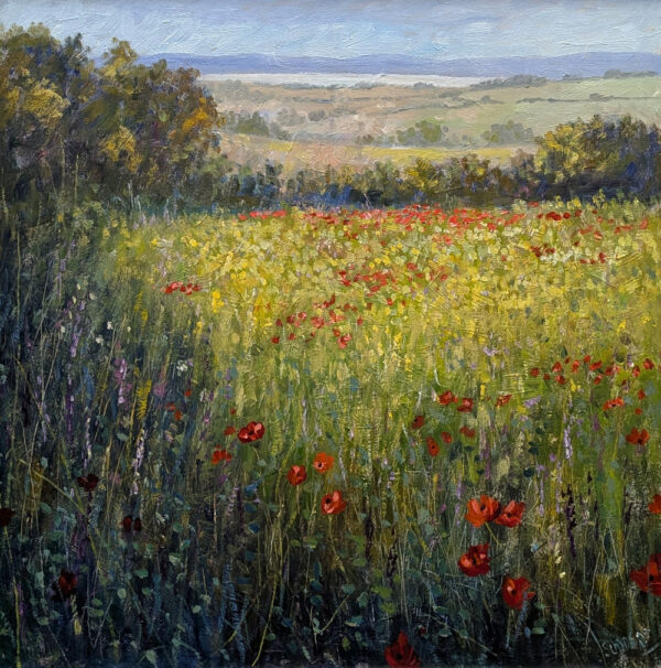 Lake District art local artist Jeff Sudders. over the meadows oil painting with wild poppies