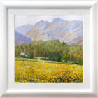 Lake District art original oil painting by Jeff Sudders featuring golden yellow meadows overlooking the Langdales with a small cottage in the distance. Displayed in a white cushioned frame.