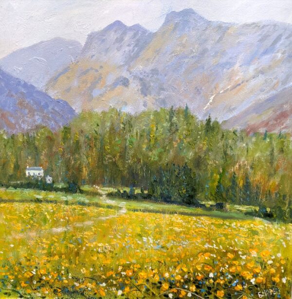 Lake District art original oil painting by Jeff Sudders featuring golden yellow meadows overlooking the Langdales with a small cottage in the distance