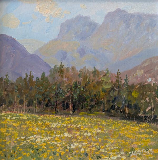 lake district art original oil painting by local artist Jeff Sudders featuring iconic langdale pikes with impasto buttercup valley meadow