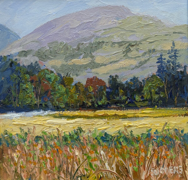 lake district art original oil painting by local artist Jeff Sudders featuring the a hay meadow near ambleside