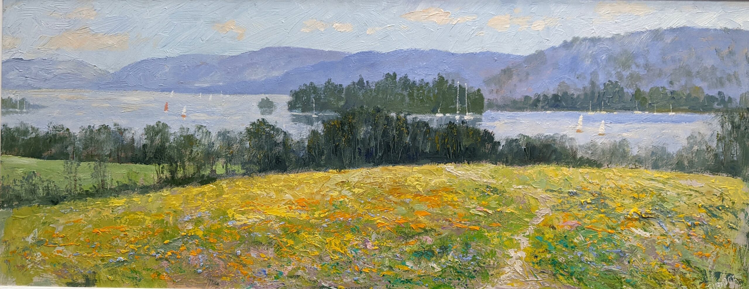 Looking South Over Windermere by Jeff Sudders 40x16 Image Lake District art original oil painting by Jeff Sudders. Yellow meadow overlooking lake windermere with sailing boats and fells in the distance.