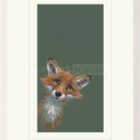 Limited Edition Print by British Artist Nicky Litchfield. Loveable rogue featuring red fox peeking into frame on a green background.