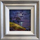 Moonlight Silhouette in Windermere