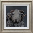 Herdwick Ram Lake District art an original oil painting by Stephen Park. A traditional life like animal portrait in great detail by wildlife artist