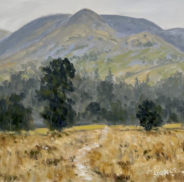 Fairfield Horseshoe is an original oil painting by Lake District artist Jeff Sudders. The view is looking up to Fairfield from a beautiful meadow in Ambleside