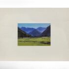 lake district art original oil painting by local artist simon whitfield great langdale I summer valley view