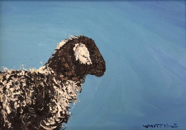 lake district art original oil painting by local artist Simon Whitfield featuring Herdwick Lamb II Eskdale