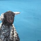 lake district art original oil painting by local artist Simon Whitfield featuring Herdwick Lamb Eskdale