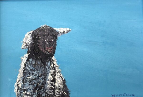 lake district art original oil painting by local artist Simon Whitfield featuring Herdwick Lamb Eskdale