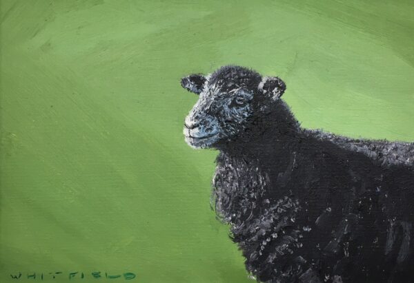 lake district art original oil painting by local artist simon whitfield herdwick lamb II