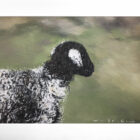 lake district art original oil painting by local artist simon whitfield herdwick lamb IV sheep