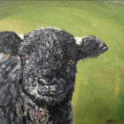 lake district art original oil painting herdwick lamb langdale by simon whitfield of a dark grey lamb looking at the viewer with a green background