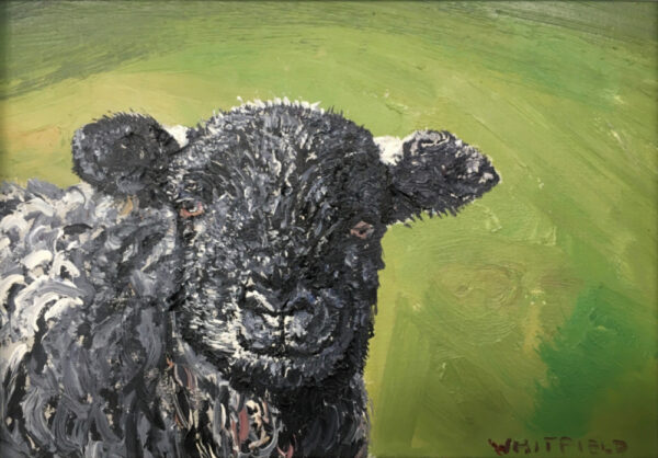 lake district art original oil painting herdwick lamb langdale by simon whitfield of a dark grey lamb looking at the viewer with a green background