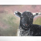 lake district art original oil painting by local artist Simon Whitfield featuring Herdwick Lamb VI